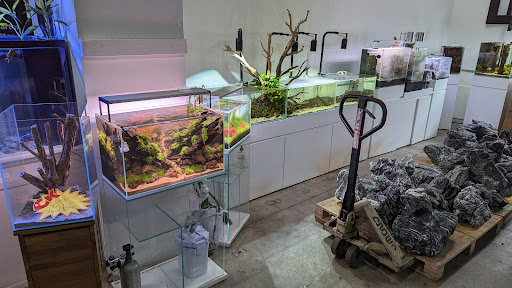 C K Fish World image