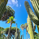 Photo n°1 de l'avis de Roberta.e fait le 11/09/2022 à 10:41 sur le  Park Hotel Terme Mediterraneo à Forio