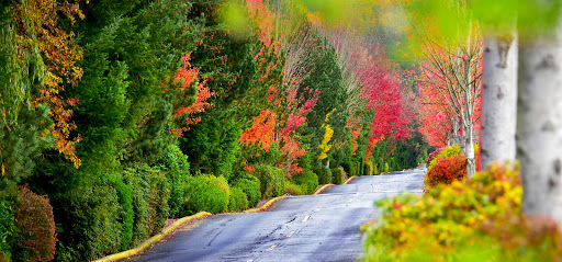 Golf Course «Willows Run Golf Complex», reviews and photos, 10402 Willows Rd, Redmond, WA 98052, USA