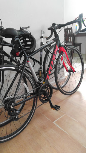 Bicycle Store «Green Bicycle Depot», reviews and photos, 965 Olive Dr G, Davis, CA 95616, USA