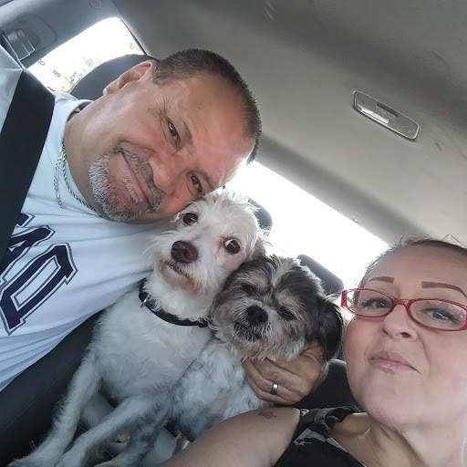 Spay & Neuter Center of Southern Nevada image