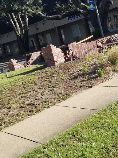 Tropical Fish Store «Pass Road Pet Center (Just Fish)», reviews and photos, 1939 Pass Rd, Biloxi, MS 39531, USA