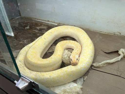 Reptile Store «La Habra Pets», reviews and photos, 1919 W La Habra Blvd, La Habra, CA 90631, USA