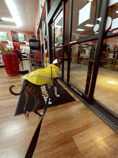 Pet Supply Store «Pet Supermarket, Inc.», reviews and photos, 18445 US-41, Lutz, FL 33549, USA