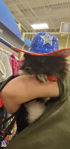 Pet Supply Store «PetSmart», reviews and photos, 62 Centerton Rd, Mt Laurel, NJ 08054, USA