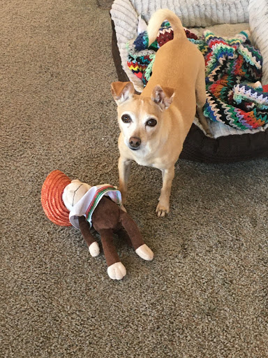 Pet Supply Store «Pet Food Express», reviews and photos, 9153 W Olympic Blvd, Beverly Hills, CA 90212, USA