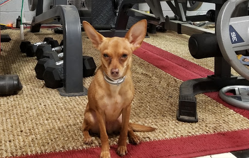 Parker's Paws Animal Hospital