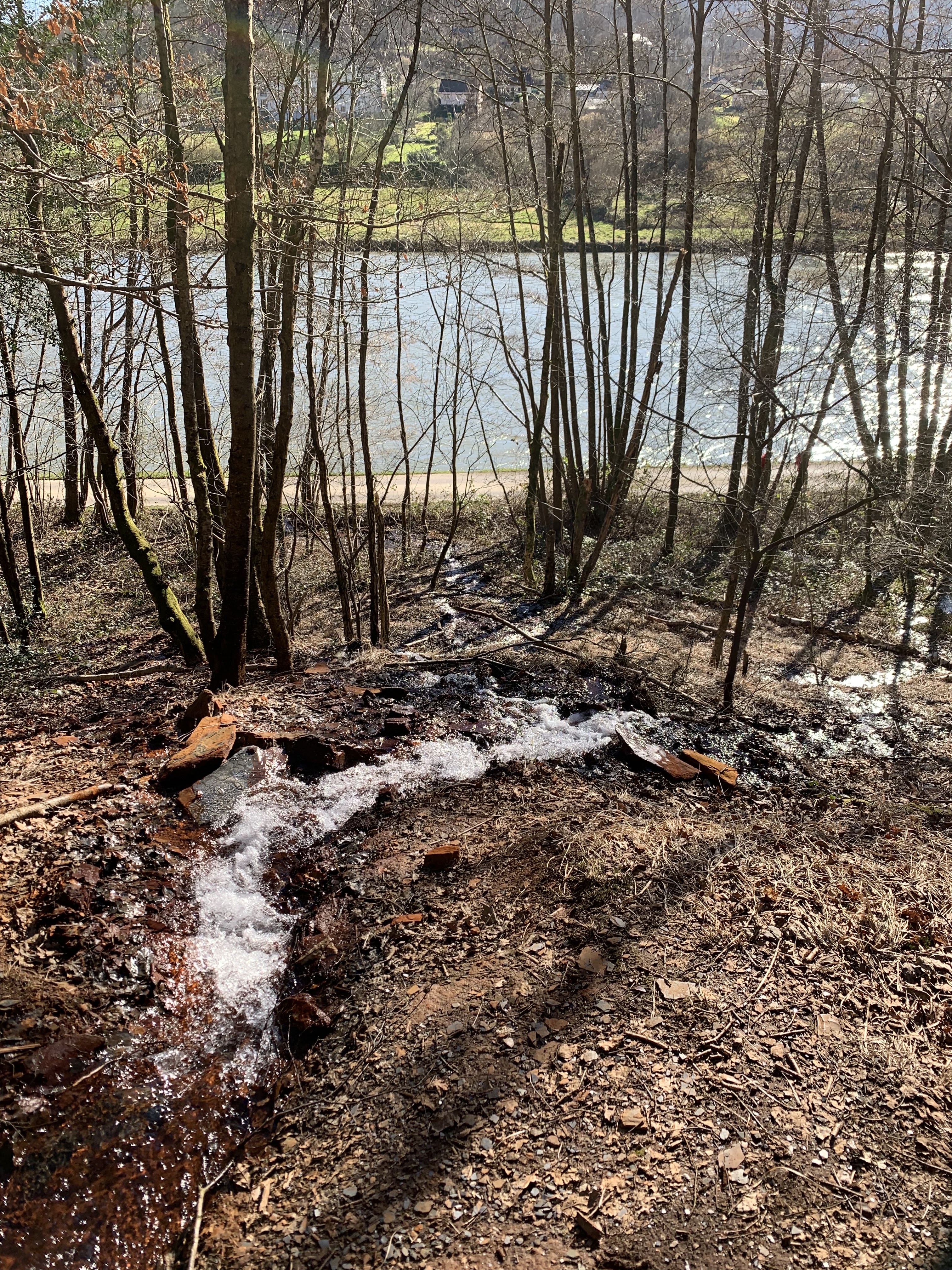 Photo n° 6 de l'avis de Jérémy.a fait le 27/02/2022 à 20:03