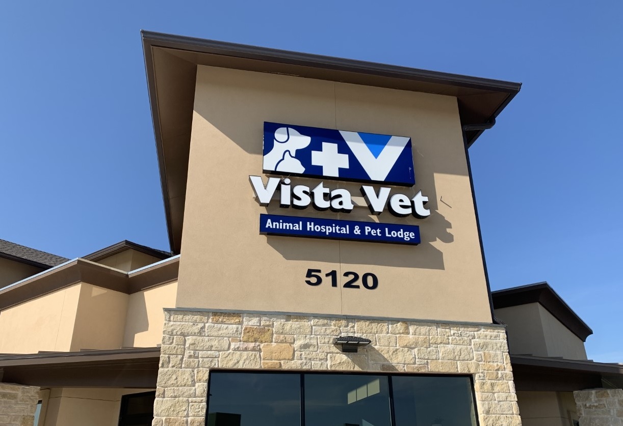 Vista Vet - Animal Hospital & Pet Lodge