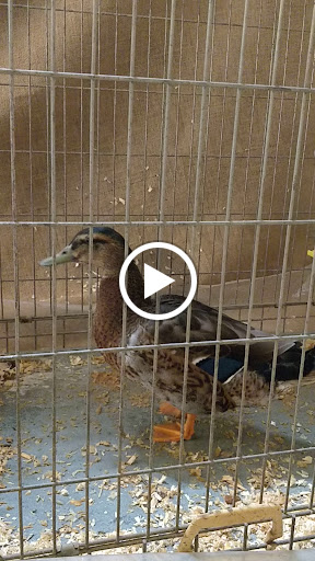 Nature Preserve «Westmoreland Sanctuary», reviews and photos, 260 Chestnut Ridge Rd, Mt Kisco, NY 10549, USA