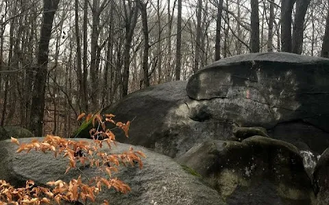 Big Rock Nature Preserve image