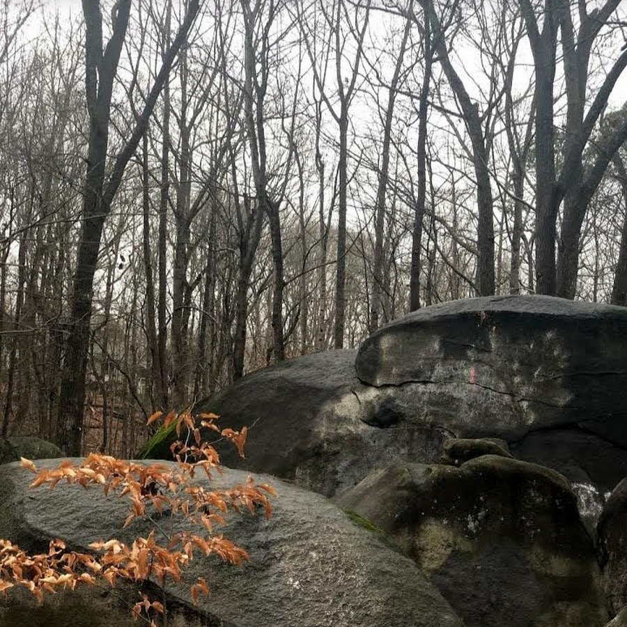 Big Rock Nature Preserve