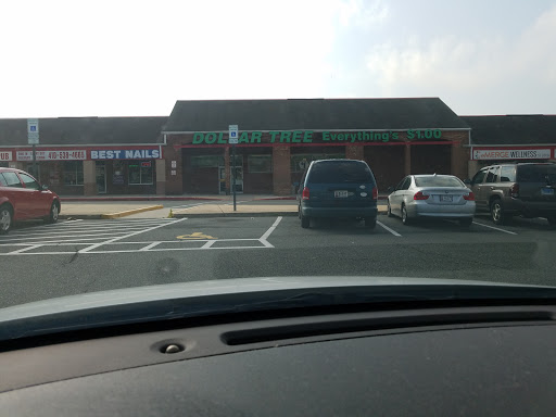 Dollar Store «Dollar Tree», reviews and photos, 1010 Joppa Farm Rd, Joppa, MD 21085, USA