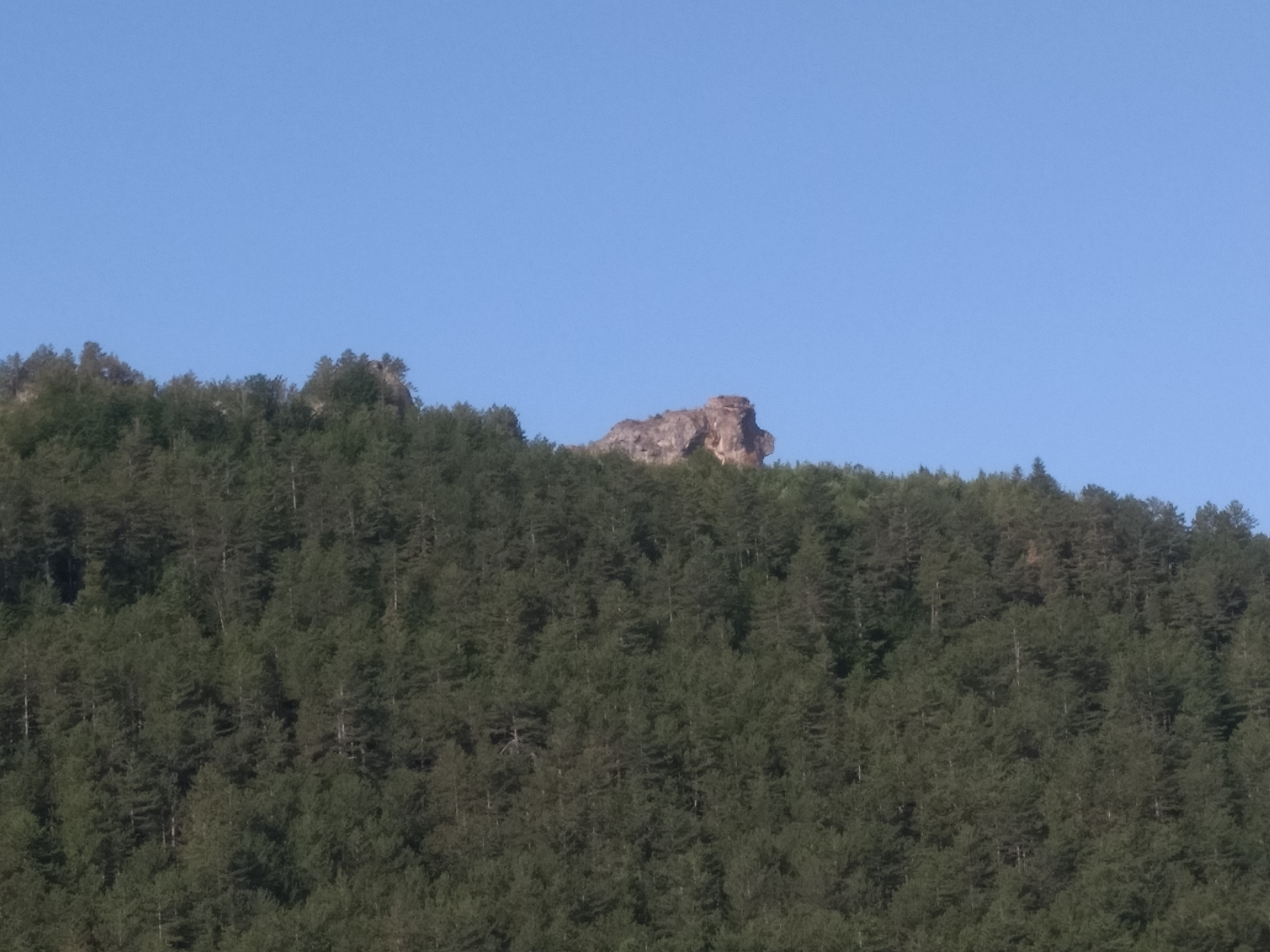 Photo n° 1 de l'avis de Thierry.I fait le 24/07/2019 à 07:30
