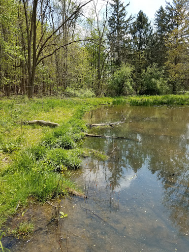 Nature Preserve «Princess Ledges Nature Preserve», reviews and photos, 4361 Spruce Ave, Brunswick, OH 44212, USA