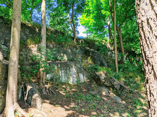 William Lloyd Garrison House, 125 Highland St, Boston, MA 02119