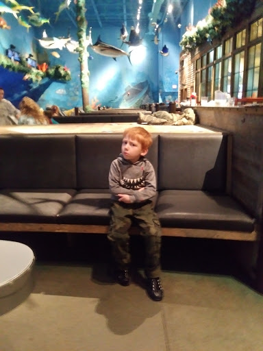 Fabric Store «Jo-Ann Fabrics and Crafts», reviews and photos, 13410 Meridian E Ste A, Puyallup, WA 98373, USA