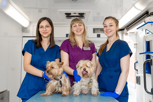 Animal Veterinarian Services