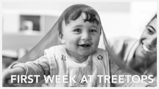 Treetops Learning - Early Childhood Pukekohe Hill - Pukekohe