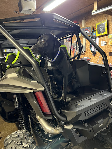 Triumph Motorcycle Dealer «Belle Plaine Motorsports», reviews and photos, 908 E Main St, Belle Plaine, MN 56011, USA