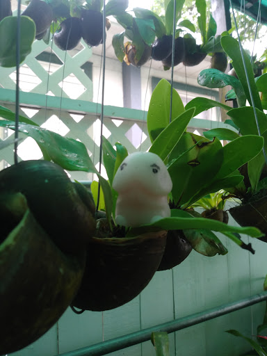 Florist «Thai-Rific Orchids Inc», reviews and photos, 5313 Gulfport Blvd S, Gulfport, FL 33707, USA