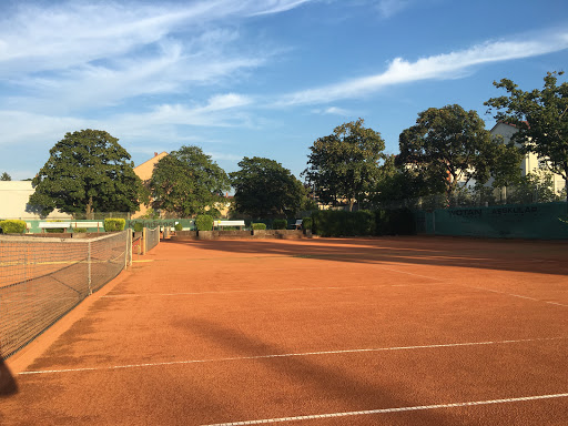 Tennisabteilung - SV Waldhof Mannheim 07 e.V.