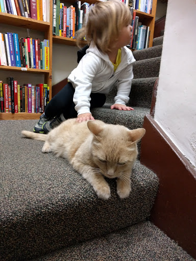 Used Book Store «Adams Avenue Bookstore», reviews and photos, 3502 Adams Ave, San Diego, CA 92116, USA