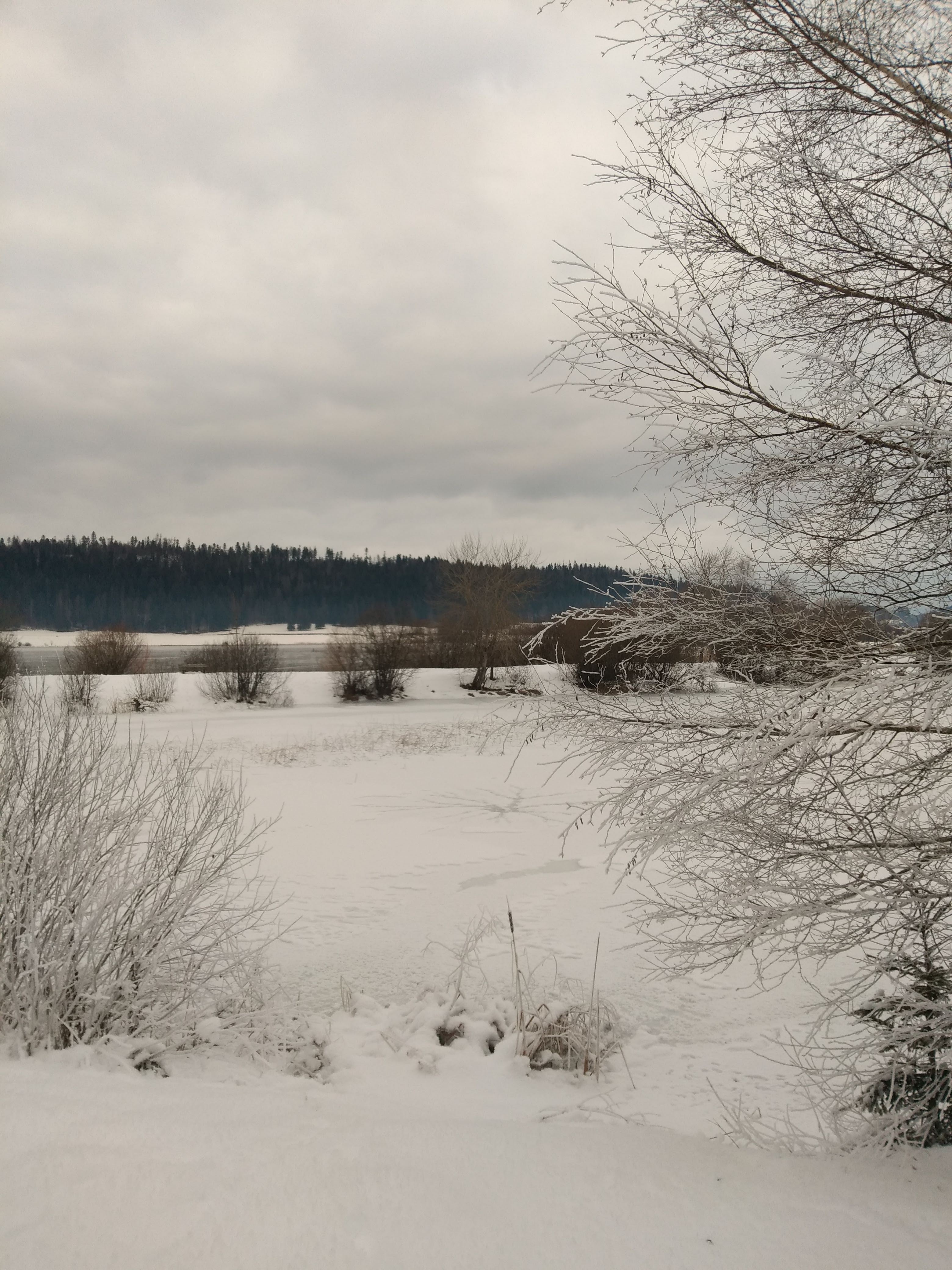Photo n° 1 de l'avis de JP.o fait le 24/12/2021 à 14:21
