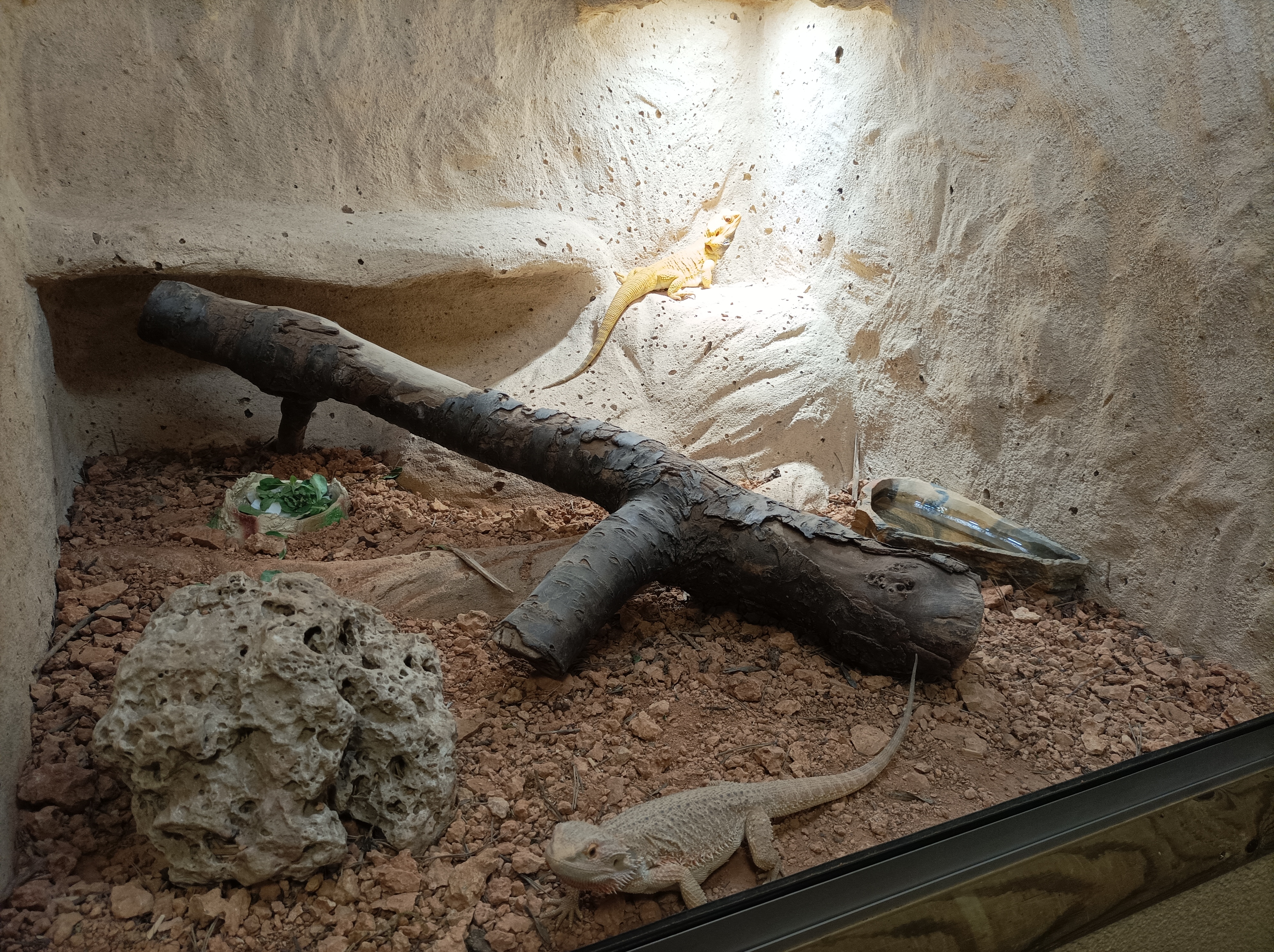 Photo n° 1 de l'avis de Lino. fait le 21/10/2023 à 19:27