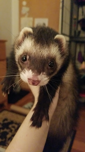 1509 Mendon Road, Cumberland, RI 02864, USA