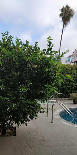 Mikado Hotel image