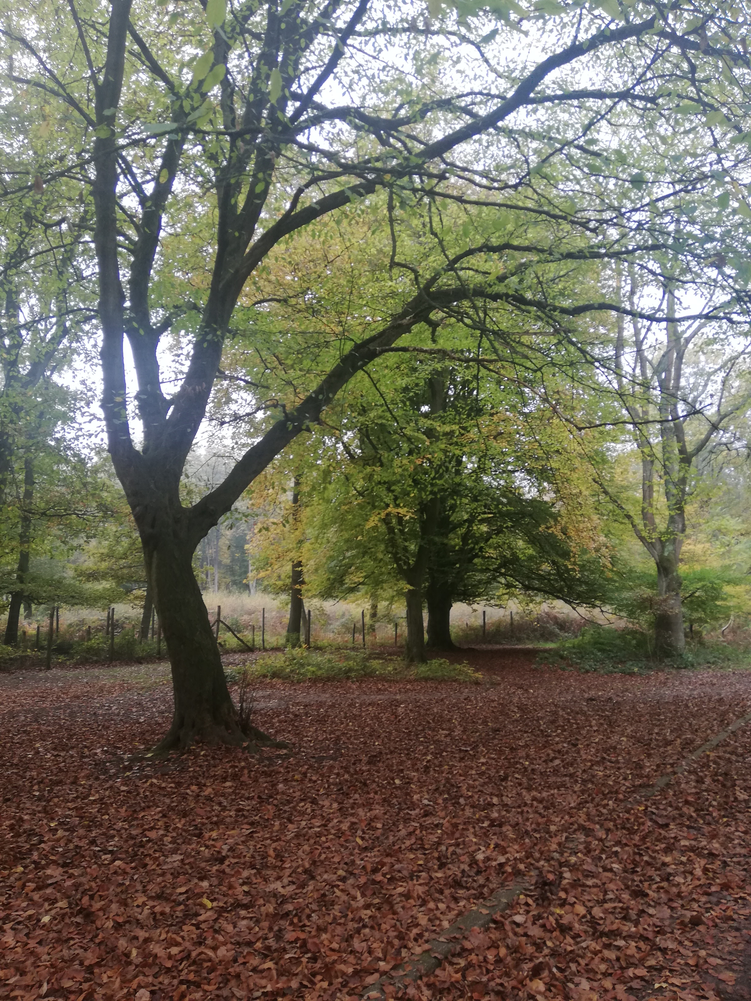 Photo n° 2 de l'avis de Marie.a fait le 09/03/2023 à 17:15