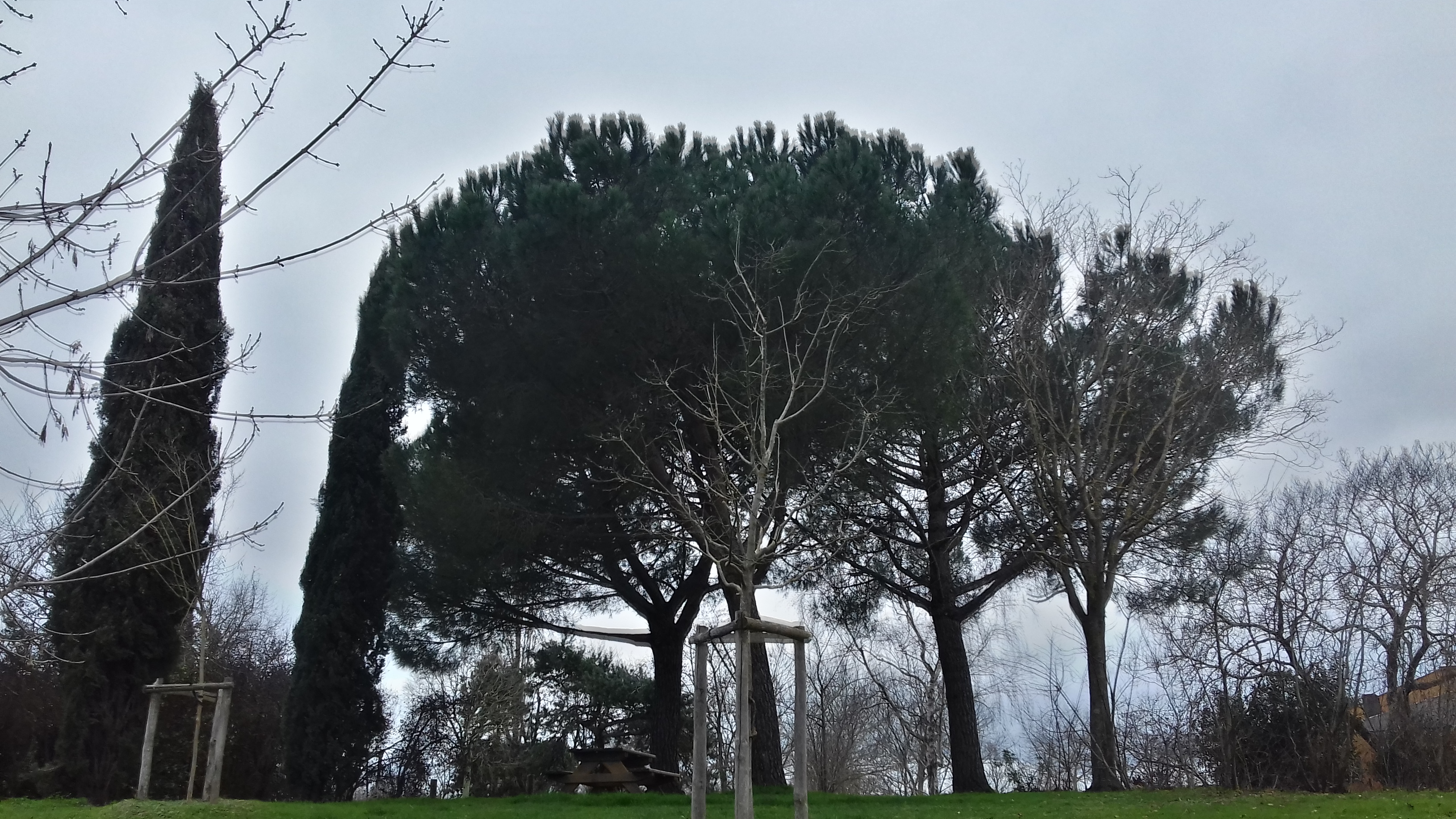 Photo n° 20 de l'avis de José.o fait le 24/11/2019 à 16:24