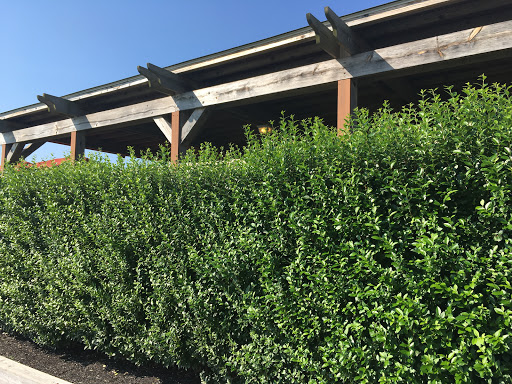 Winery «Pindar Vineyards», reviews and photos, 37645 NY-25, Peconic, NY 11958, USA