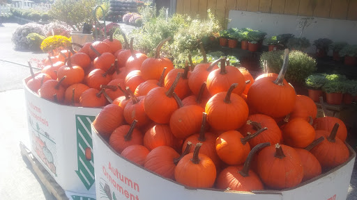 Garden Center «Laura Ann Farms», reviews and photos, 401 NY-17M, Monroe, NY 10950, USA