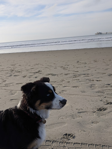 Pet Supply Store «Lemos Feed & Pet Supply», reviews and photos, 120 Traffic Way, Arroyo Grande, CA 93420, USA