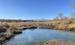 Inlet Park