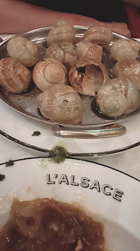 Escargot du Restaurant de spécialités alsaciennes Brasserie L'Alsace à Paris - n°9