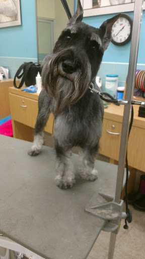 Pet Supply Store «Petco Animal Supplies», reviews and photos, 2807 Wilma Rudolph Blvd, Clarksville, TN 37040, USA