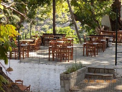 Photos of Taverna Platana