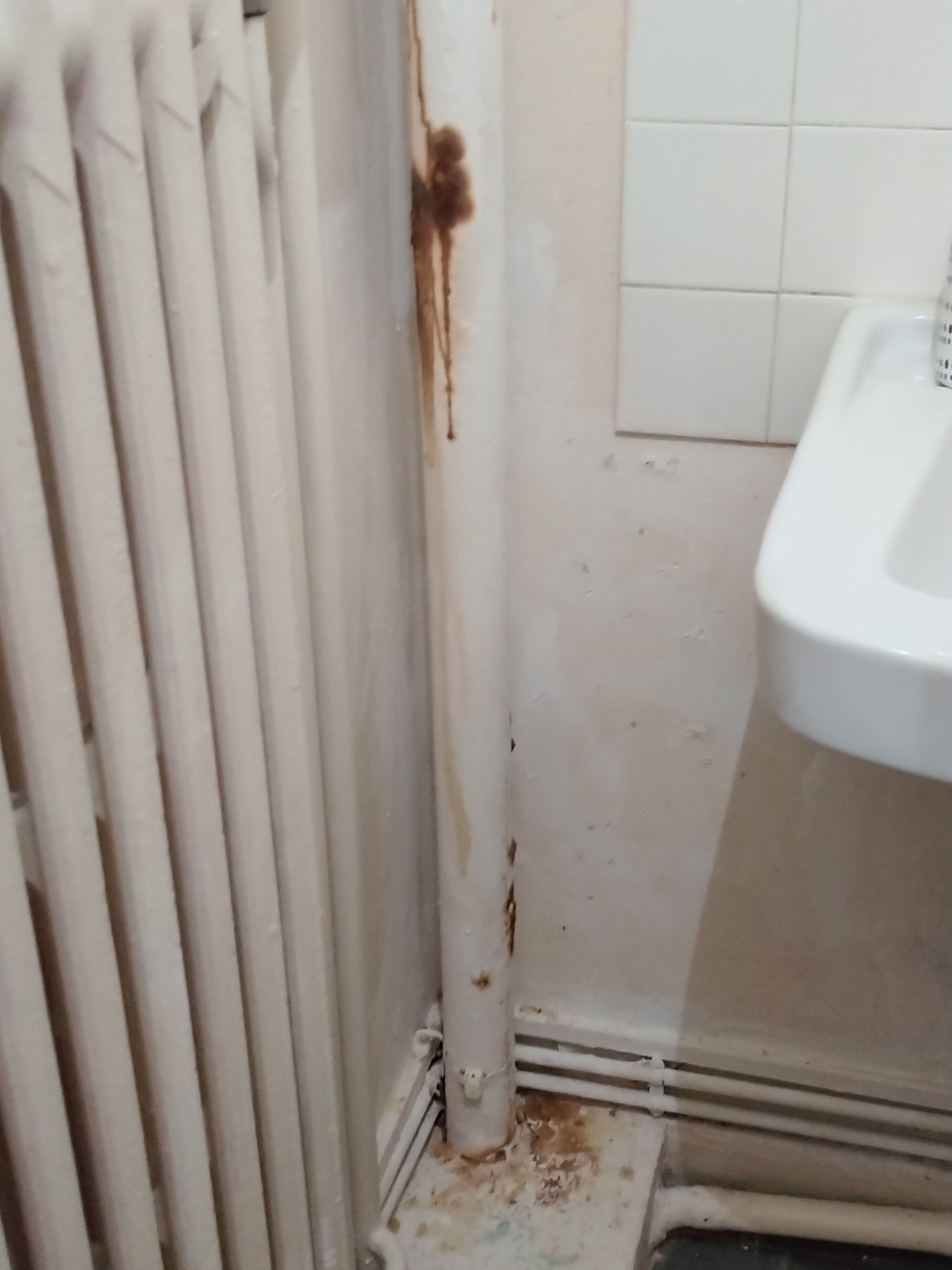 Photo n° 2 de l'avis de Rachide.a fait le 09/12/2021 à 12:24