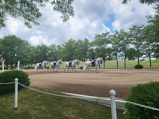 Tourist Attraction «The Tempel Lipizzans», reviews and photos, 17000 W Wadsworth Rd, Old Mill Creek, IL 60083, USA