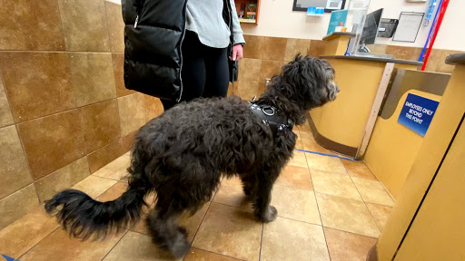 Pet Supply Store «PetSmart», reviews and photos, 971 Norland Ave, Chambersburg, PA 17201, USA