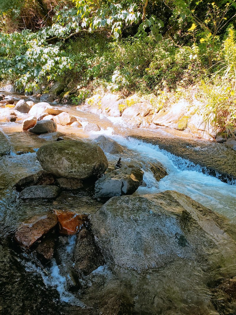 自然の森 フィッシングリゾート 佐賀県鳥栖市立石町 釣り堀 グルコミ