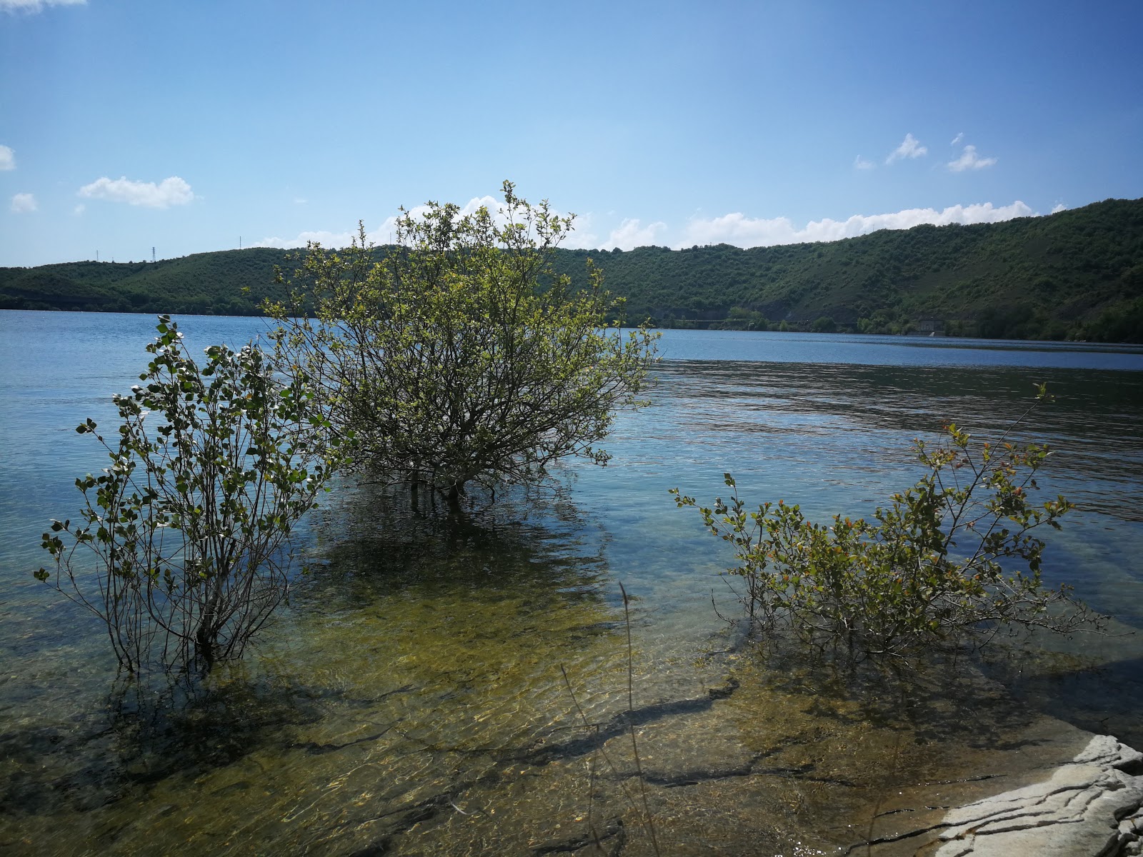 Playa Nudista Arroiabe的照片 位于自然区域