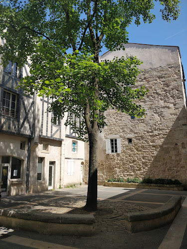 Magasin de maroquinerie Rond de Cuir La Rochelle
