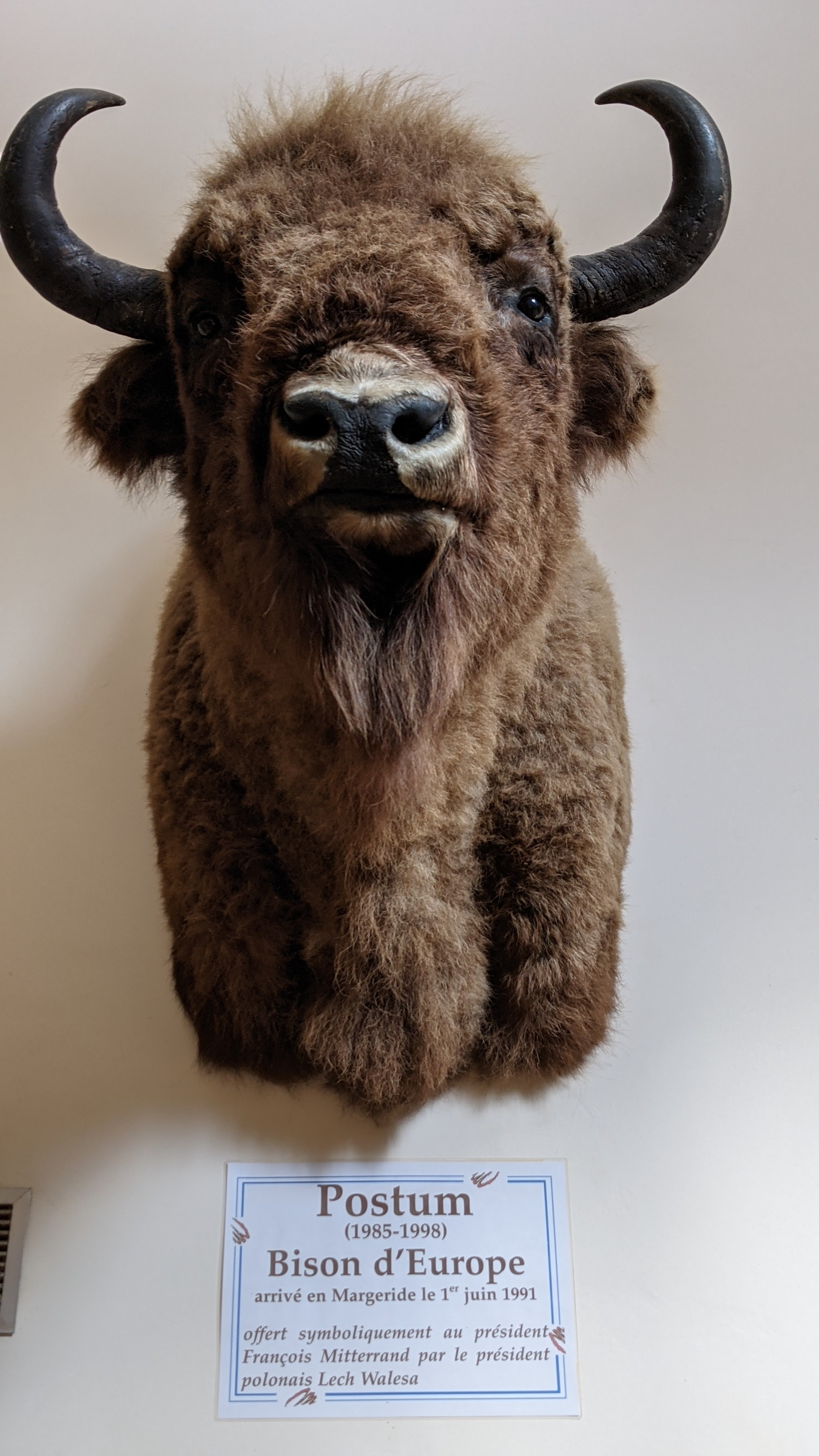 Photo n° 4 de l'avis de Bruno.o fait le 09/11/2021 à 20:31