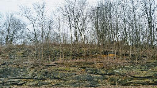 Nature Preserve «Jug Rock Nature Preserve», reviews and photos, Albright Ln, Shoals, IN 47581, USA