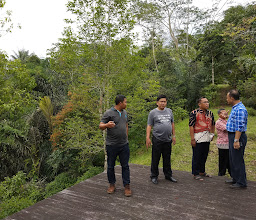 Kebun jeruk photo
