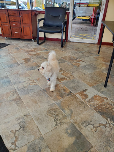 Car Repair and Maintenance «Midas», reviews and photos, 1011 Union St, Bangor, ME 04401, USA